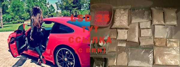 шишки Алзамай