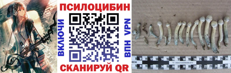 Галлюциногенные грибы прущие грибы  как найти наркотики  Нытва 